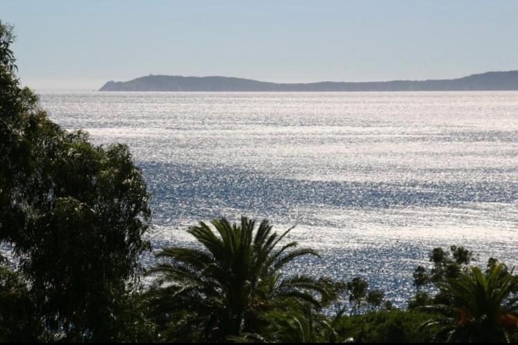 Residence Le Paradou Le Le Rayol-Canadel-sur-Mer 外观 照片